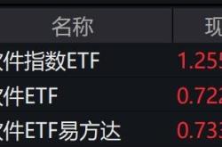 国产软件板块强势上涨：机遇与挑战并存