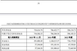 电投能源重组迷局：股价异动、利益输送，谁是赢家？